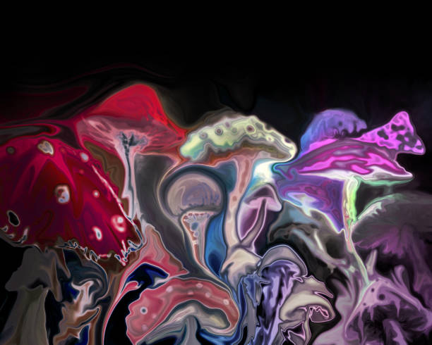 fabulous mushrooms on a black background vector art illustration