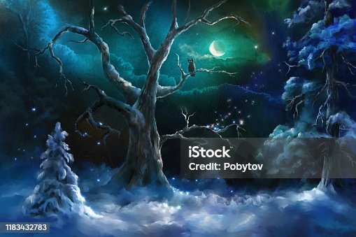 istock fairy winter night 1183432783