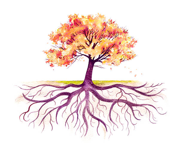 Fall Tree With A Strong Root System vector art illustration