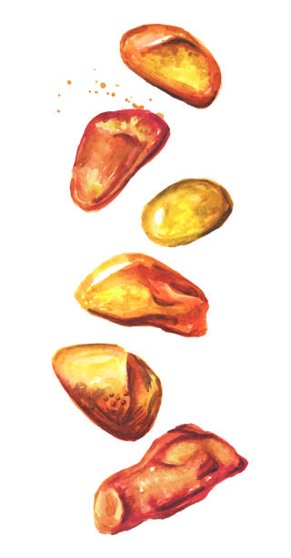 Falling Pieces of Transparent amber of various shapes. Hand drawn watercolor illustration, isolated on white background Falling Pieces of Transparent amber of various shapes. Hand drawn watercolor illustration, isolated on white background fossilized pitch stock illustrations