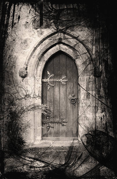 Fantasy doorway "Grunge fantasy doorway, entrance to a secret world." door borders stock illustrations