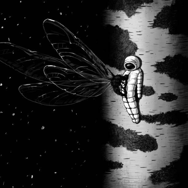 Fantasy sci-fi surreal cosmos fiction square black and white artwork with dead astronaut somwhere in a deep space and moment of xenomorph birth picture drawing vector art illustration