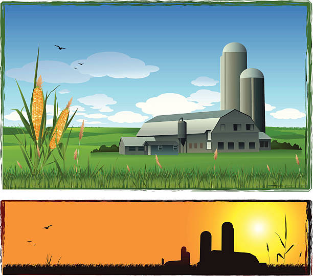 Farm background "Farm background, nature landscape, farm silhouette at sunset" corn field stock illustrations