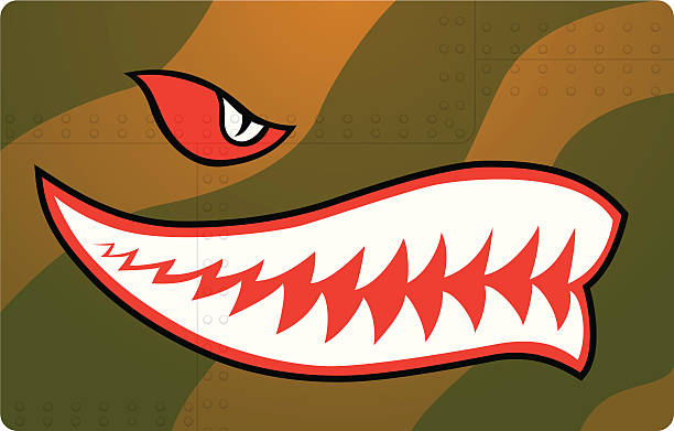 fighter teeth scary teeth like you would see on an old fighter plane animal teeth stock illustrations