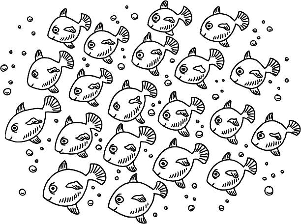 Fish School Drawing Hand-drawn vector drawing of a Fish School. Black-and-White sketch on a transparent background (.eps-file). Included files: EPS (v8) and Hi-Res JPG. simple fish drawings stock illustrations