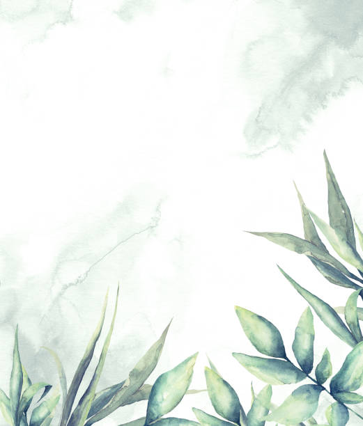 ilustrações de stock, clip art, desenhos animados e ícones de floral frame with watercolor tropical leaves - watercolor