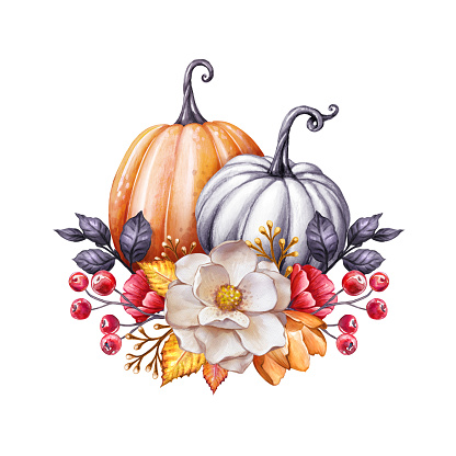 Floral Pumpkins Thanksgiving Watercolor Illustration ...