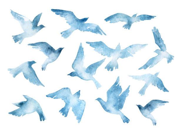 白い背景に分離水彩画のテクスチャを持つ飛行鳥のシルエット - 鳥点のイラスト素材／クリップアート素材／マンガ素材／アイコン素材