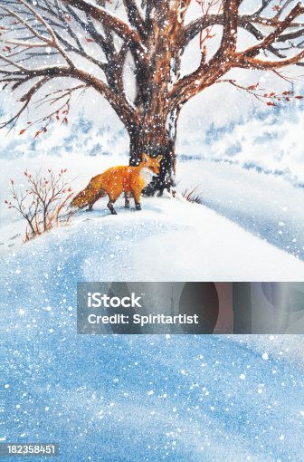 istock Fox In The Snow 182358451