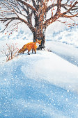 istock Fox In The Snow 182358451