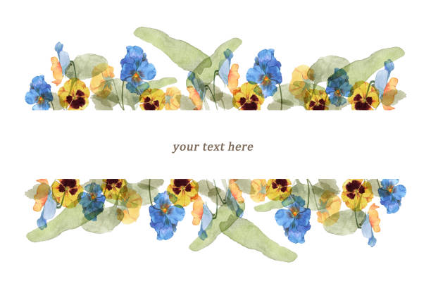 Frame of watercolor pansy flowers watercolor painting birthday clipart stock illustrations