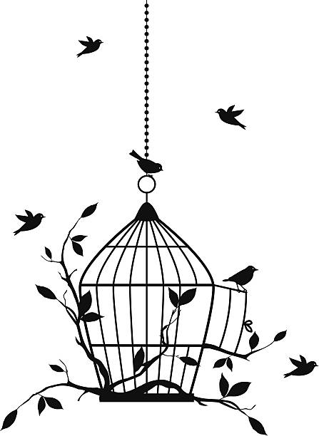 бесплатный птицами, вектор - bird cage silhouette stock illustrations.
