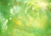 istock fresh foliage, spring watercolor background 520285236