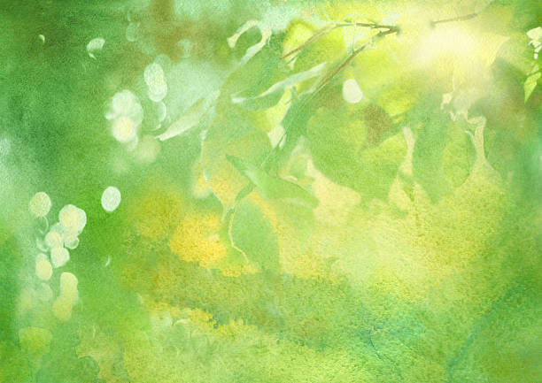 fresh foliage, spring watercolor background vector art illustration