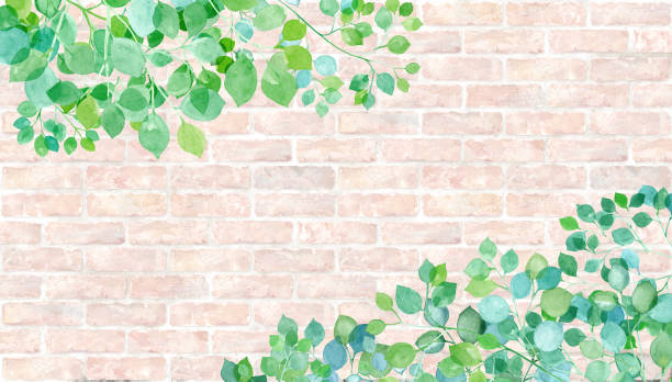 鮮やかなレンガの壁の背景に対する新鮮な緑色の水彩画のイラスト。春と夏の緑の植物装飾的な背景。壁紙。 - 木漏れ日点のイラスト素材／クリップアート素材／マンガ素材／アイコン素材