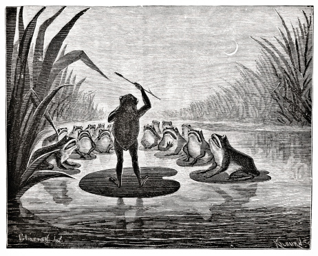 Frog Chorus Victorian Steel Engraving Stock Illustration - Download Image Now - iStock