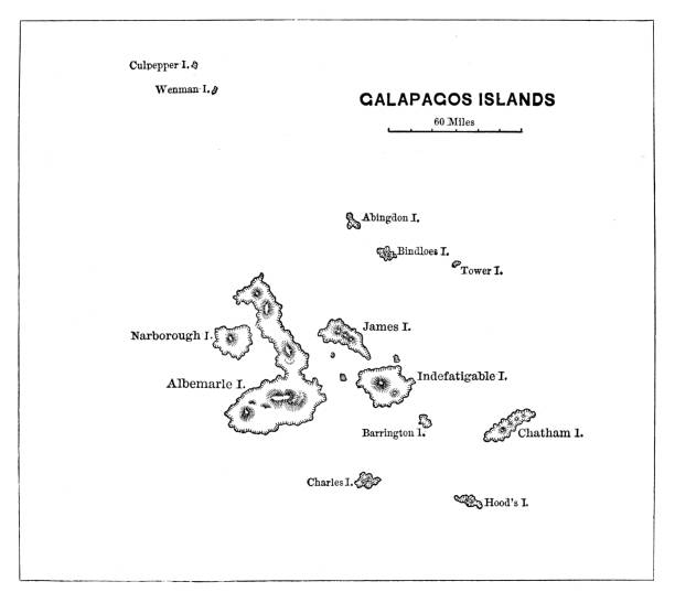 galapagos inseln karte - galápagos stock-grafiken, -clipart, -cartoons und -symbole