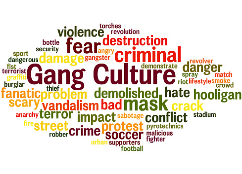 Image result for gang culture