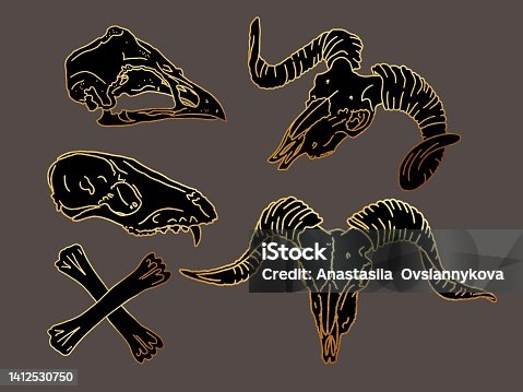 istock Gold line. Graphical set. animal skulls linear art. 1412530750