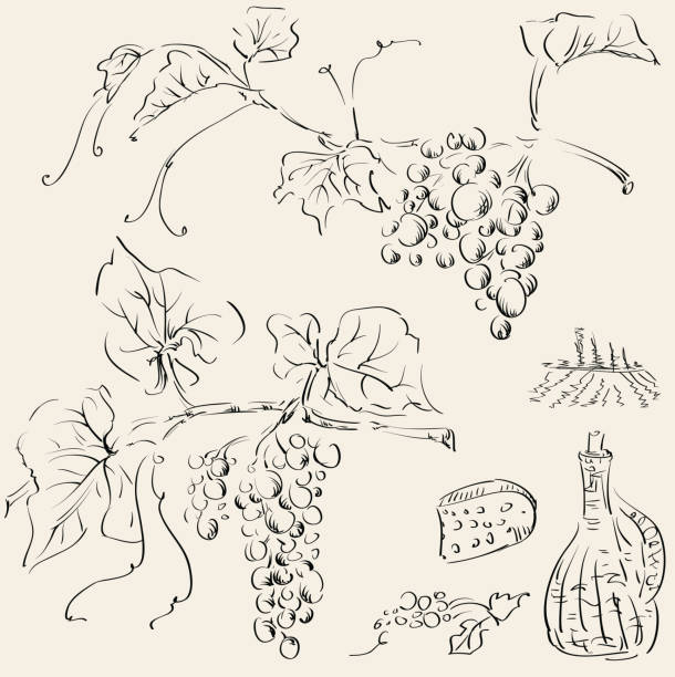 Grape  cheese silhouettes stock illustrations