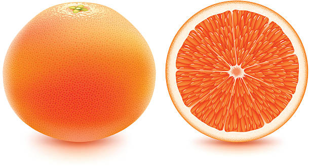 Grapefruit - fresh and juicy! vector art illustration