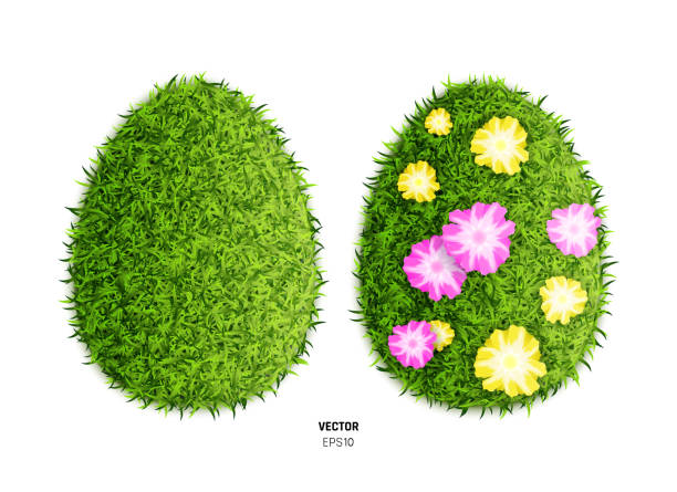 bildbanksillustrationer, clip art samt tecknat material och ikoner med grönt gräs påsk ägg bakgrund med blommor - easter egg