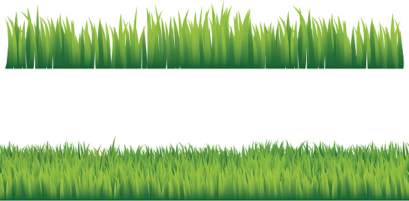 Green grass. Horizontal seamless