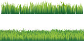 istock Green grass 164156854