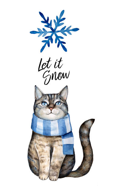 bildbanksillustrationer, clip art samt tecknat material och ikoner med grå katt klädd i blå vinter scarf, akvarell snöflinga och frasen ”titta det snöar”. söt utskrivbara affisch, vykort, inbjudan, scenografi. - cat snow