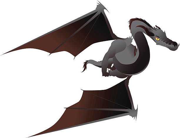 ilustraciones, imágenes clip art, dibujos animados e iconos de stock de gris dragon - drake
