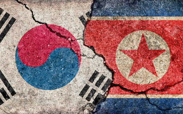 그런지 국가 국기 일러스트 (금이 콘크리트 배경) / 남한 vs 북한 (정치적 또는 경제적 갈등) - north korea stock illustrations