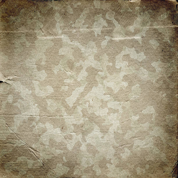 Grunge military background with a texture of paper Grunge military background. Camouflage pattern on a paper texture military backgrounds stock illustrations