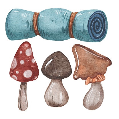 Hand drawing watercolor isolated travel set: rolled sleeping bag and mushrooms. Use for poster, flyers, print, postcard, template, print, pattern, shop, advertising, stickers