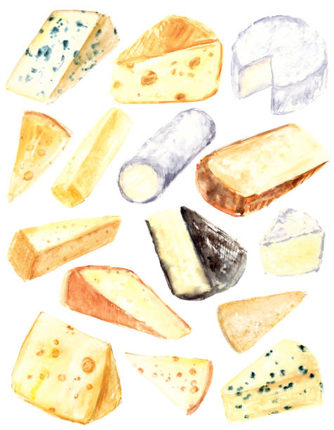 Hand drawn watercolor cheese types for kitchen poster, label, packaging Hand drawn watercolor cheese types for kitchen poster, label, packaging. Blue cheese, french cheese, maasdam, camembert, brie, parmesan. brie stock illustrations