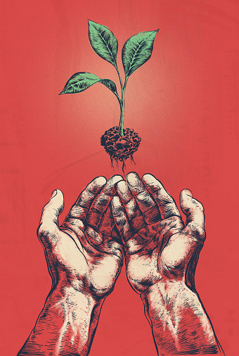 Engraved illustration of hands holding a seedling, woodcut, screen printing on red background. Hand drawn illustration. Retro style ink sketch.