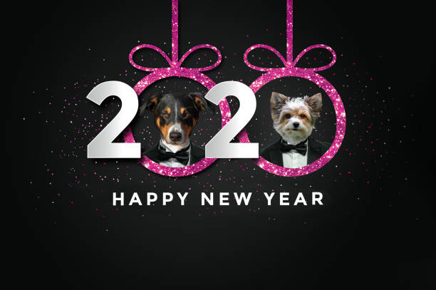 Happy new year 2020 Dogs Happy new year 2020 with two Dogs (Pink) happy new year dog stock illustrations