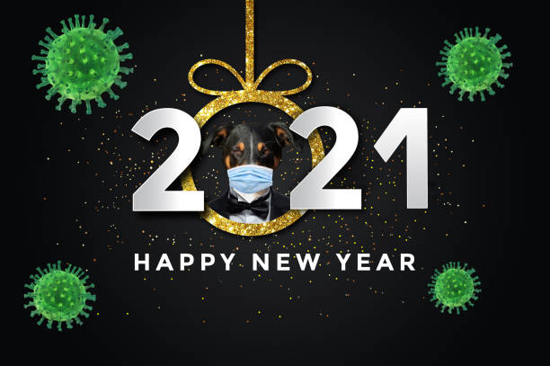 happy new year 2021 corona virus happy new year 2021 with a Dog, black background. covid-19, corona virus concept happy new year dog stock illustrations