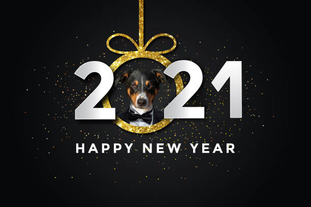 Happy new year 2021 with a Dog Happy new year 2021 with a Dog, Appenzeller Sennenhund happy new year dog stock illustrations