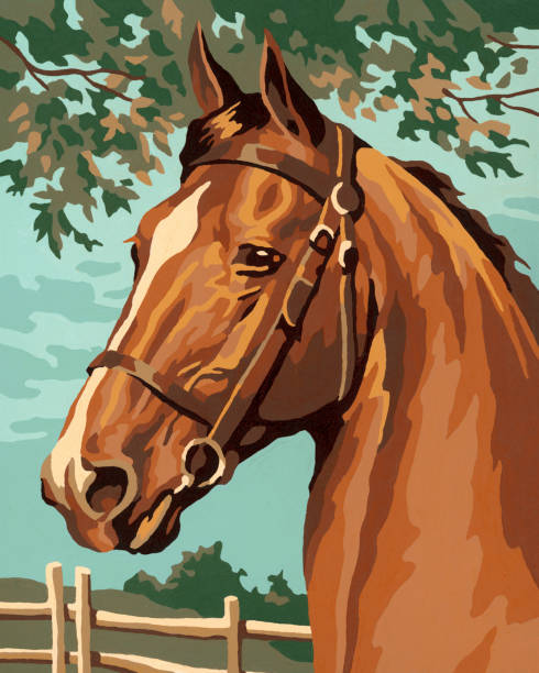 Horse http://csaimages.com/images/istockprofile/csa_vector_dsp.jpg paint by number stock illustrations
