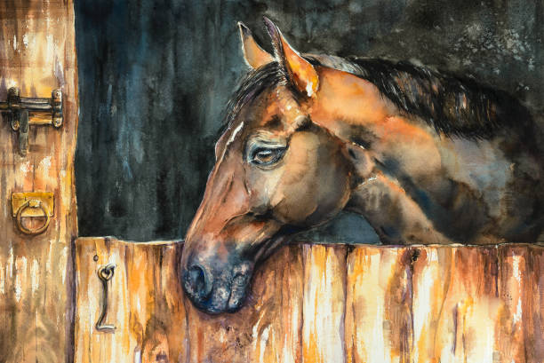 bildbanksillustrationer, clip art samt tecknat material och ikoner med häst porträtt - häst jordbruk