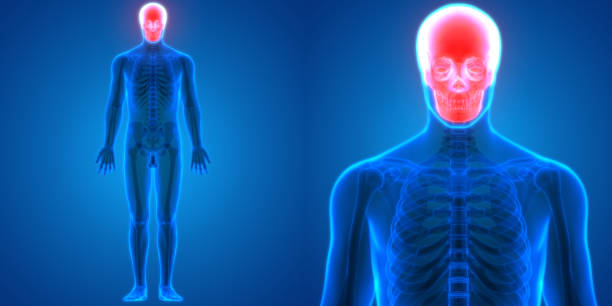 Rheumatoid Arthritis: A Complete Overview, Symptoms, Causes, Treatments and More