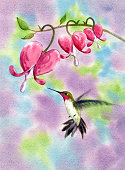 istock Hummingbird And Heart Shaped Flowers 471192061