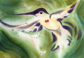 istock Hummingbird Hearts 173854807