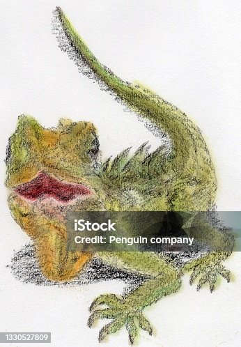 istock Illustration of Australian native gecko 1330527809