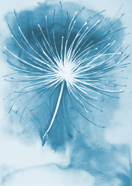 Illustration painting watercolor in blue landscape dandelion seed flying in the wind on  background of sunlight and sky vector art illustration