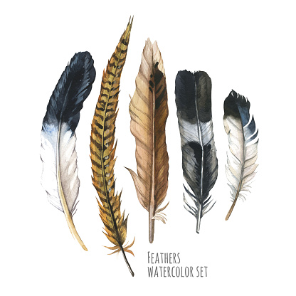 Hand drawn watercolor set of  feathers on white background. Hippie design elements.