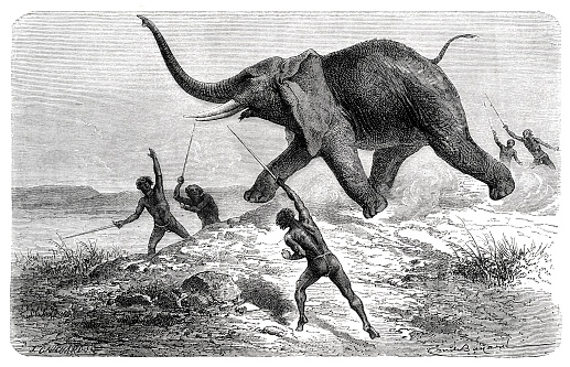 Indigenous people hunting an elephant in Africa 1870
Original edition from my own archives
Source : Tour du monde 1870
Drawing: J. Gauchard - Emile Bayard after S. Baker