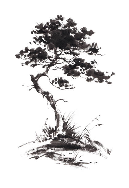 成長している松の木のイラストをインクします。墨絵風。 - 松　日本点のイラスト素材／クリップアート素材／マンガ素材／アイコン素材