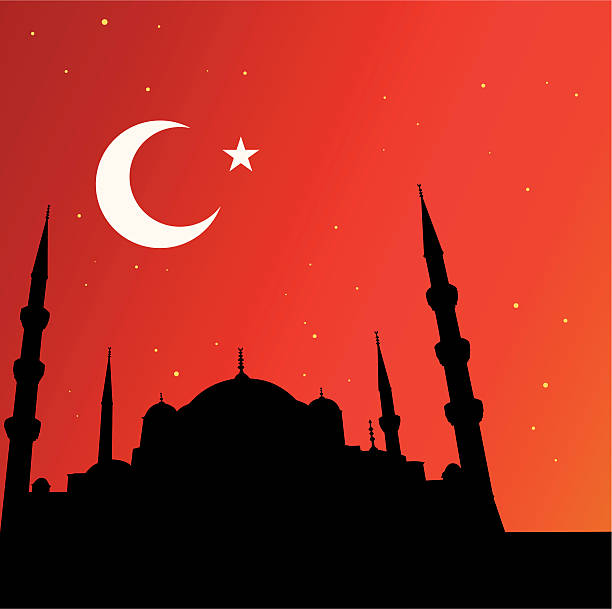 bildbanksillustrationer, clip art samt tecknat material och ikoner med istanbul and mosques - istanbul blue mosque skyline
