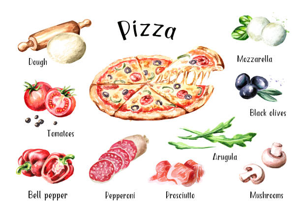 Italian Pizza. Ingredients. Watercolor hand drawn illustration, isolated on white background Italian Pizza. Ingredients. Watercolor hand drawn illustration, isolated on white background margherita stock illustrations